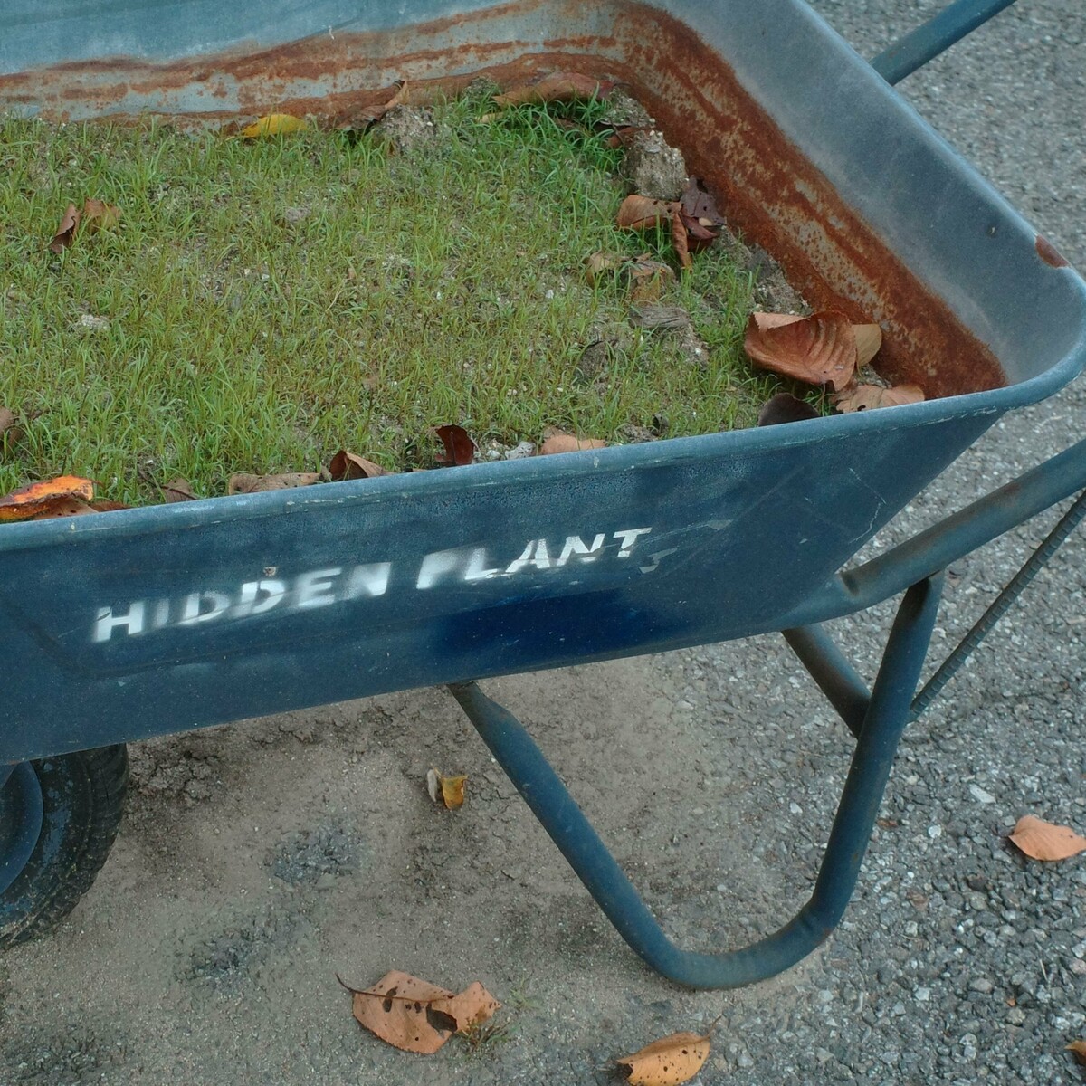 Image Cover
